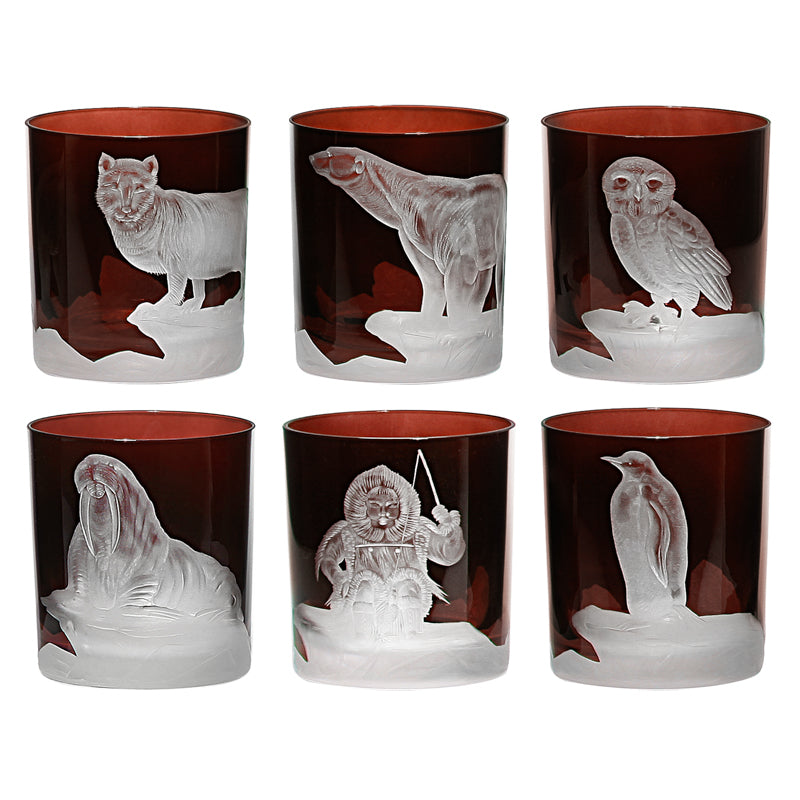 Arctic Collection Set