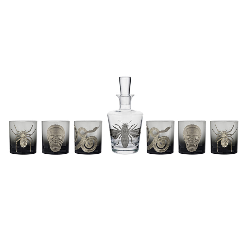 Cabinet of Curiosities Spider