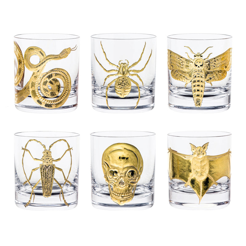 Cabinet of Curiosities Skull