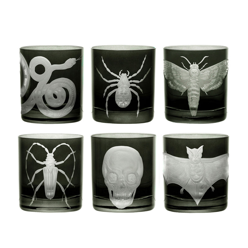Cabinet of Curiosities Butterfly