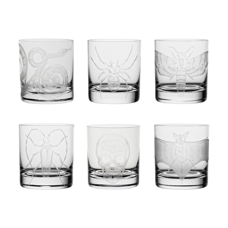 Cabinet of Curiosities Butterfly