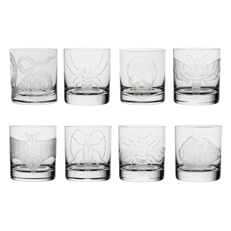 Cabinet of Curiosities Collection Set