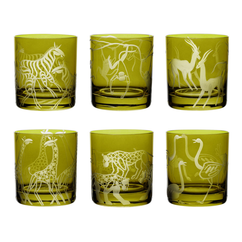 Safari Giraffes