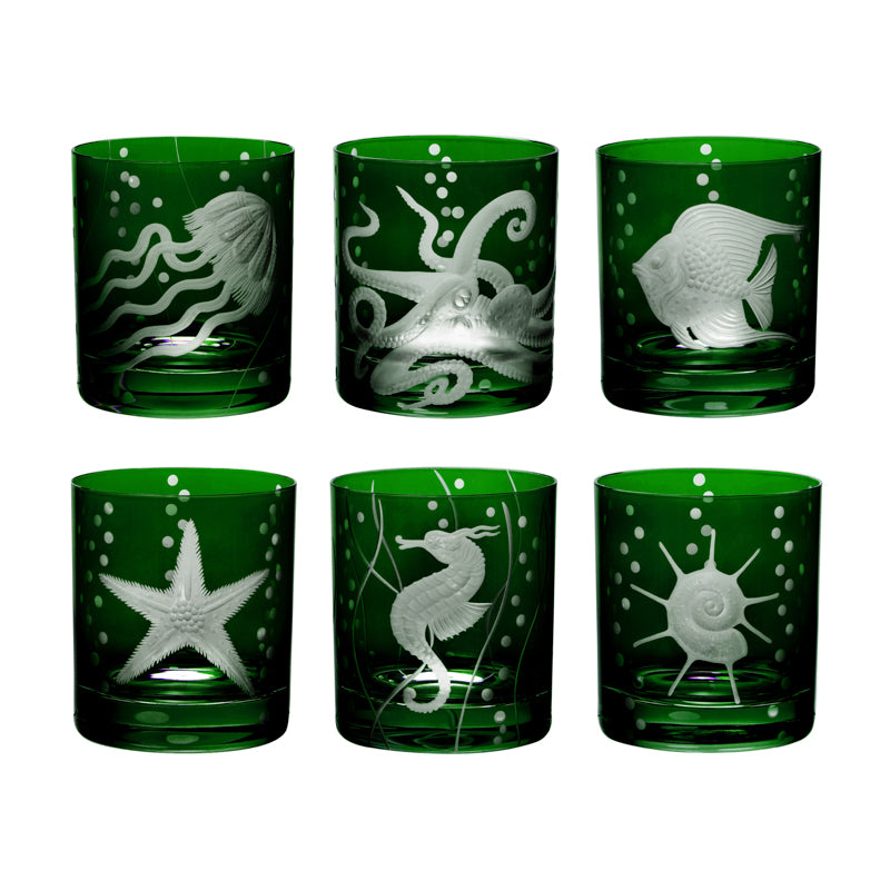 Sea Life Collection Set