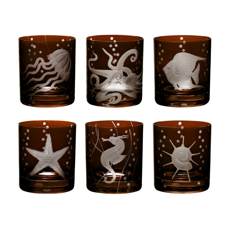 Sea Life Collection Set