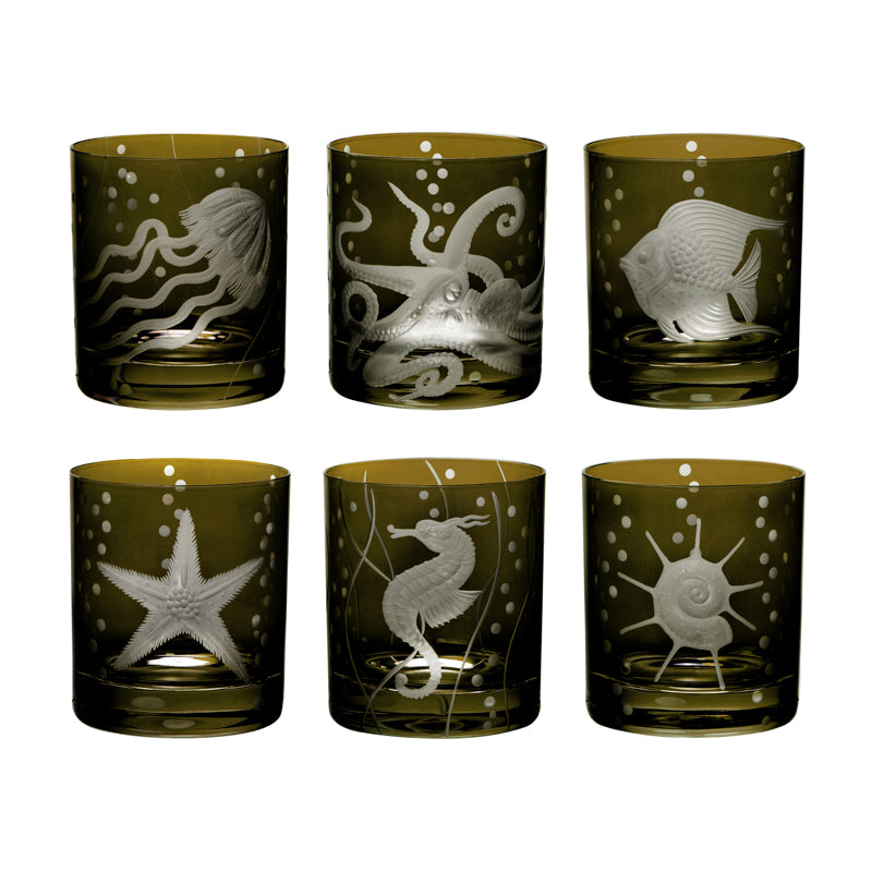 Sea Life Collection Set