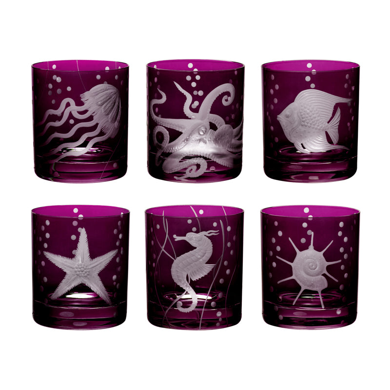 Sea Life Collection Set