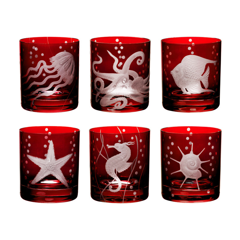 Sea Life Collection Set