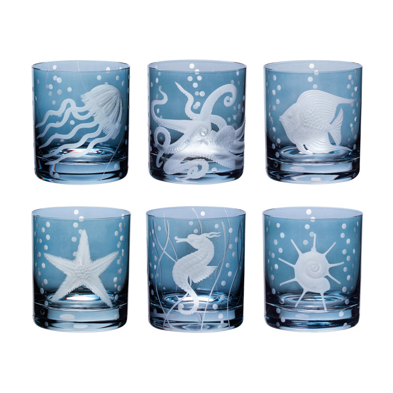 Sea Life Collection Set