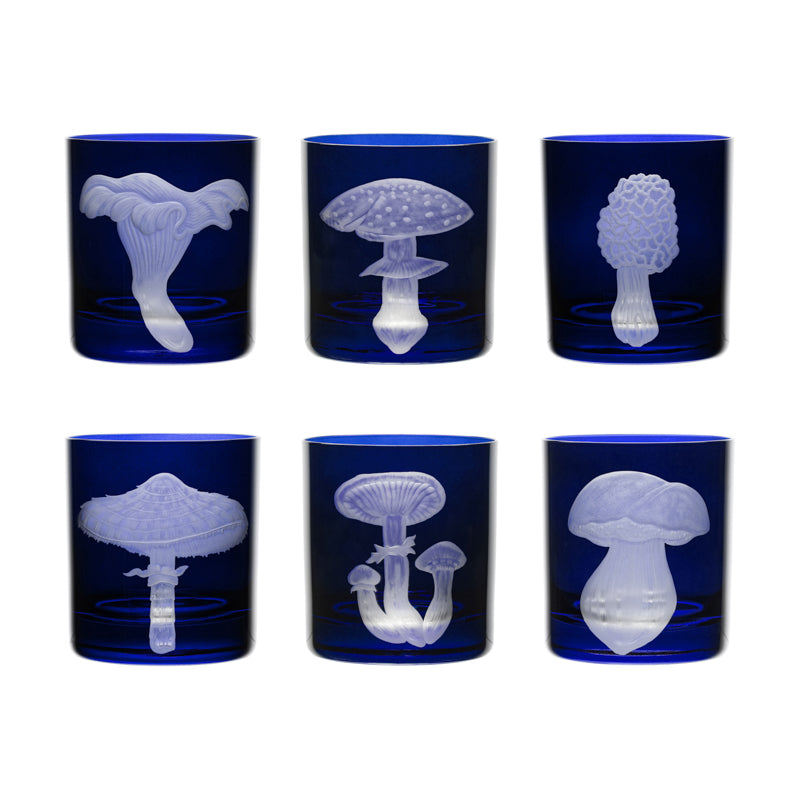 Mushrooms Collection Set