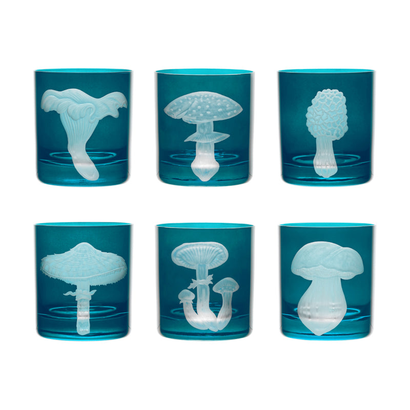 Mushrooms Collection Set