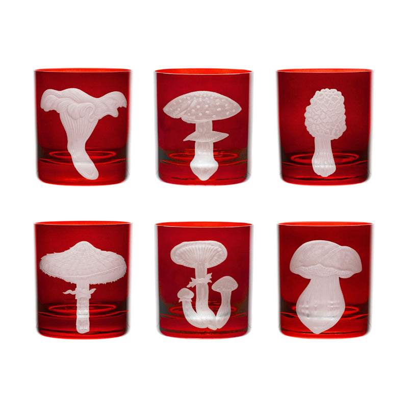 Mushrooms Collection Set