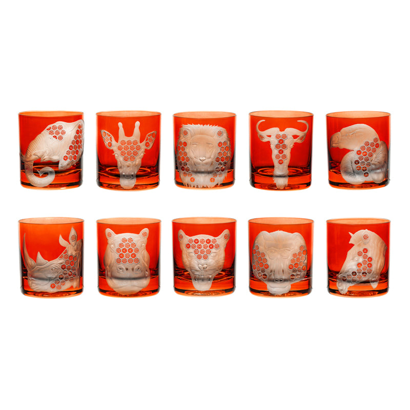 African Safari Collection Set