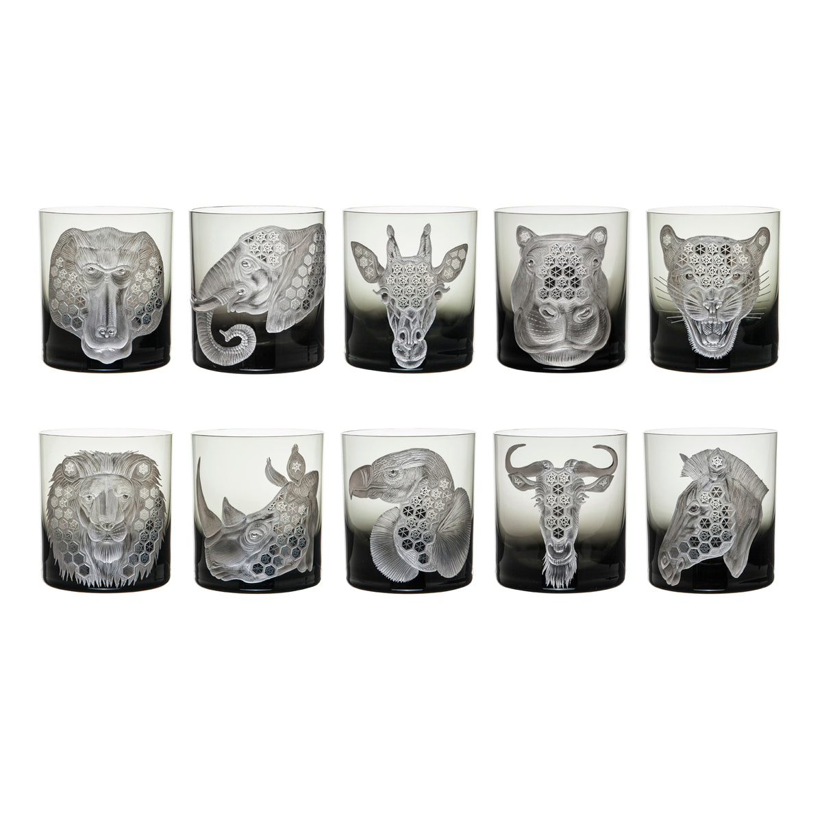African Safari Collection Set