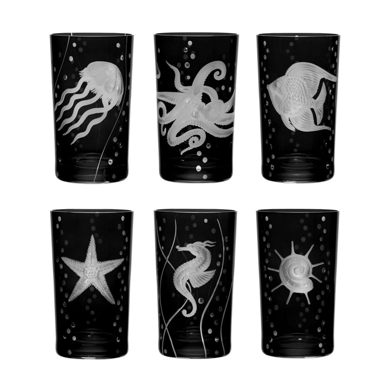Sea Life Collection Set