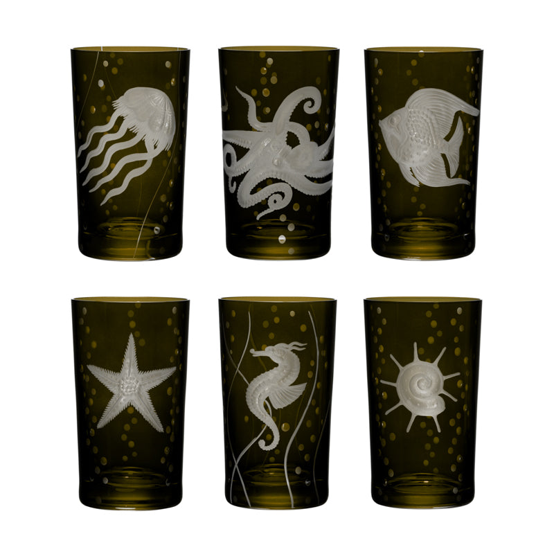 Sea Life Collection Set