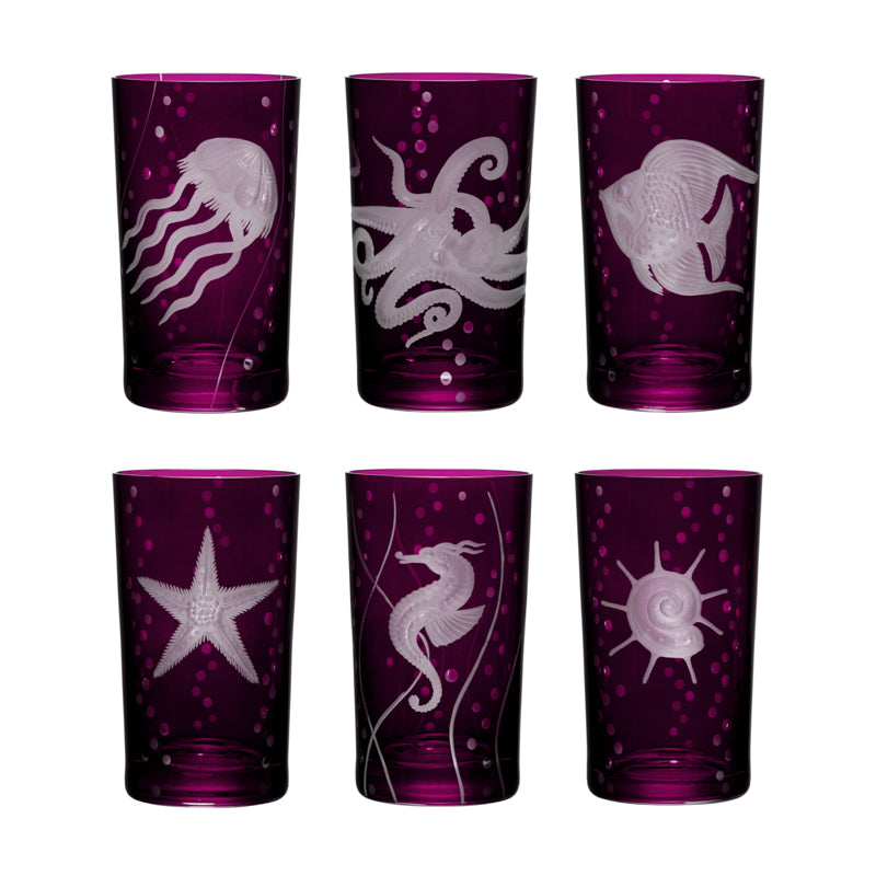 Sea Life Collection Set