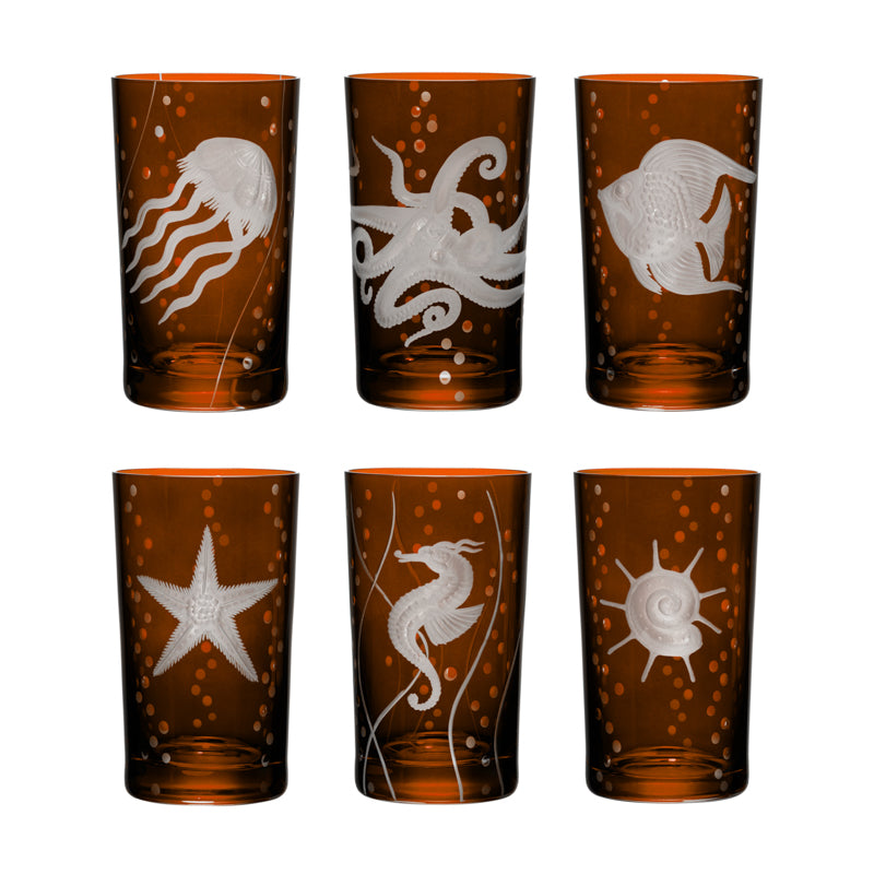 Sea Life Collection Set