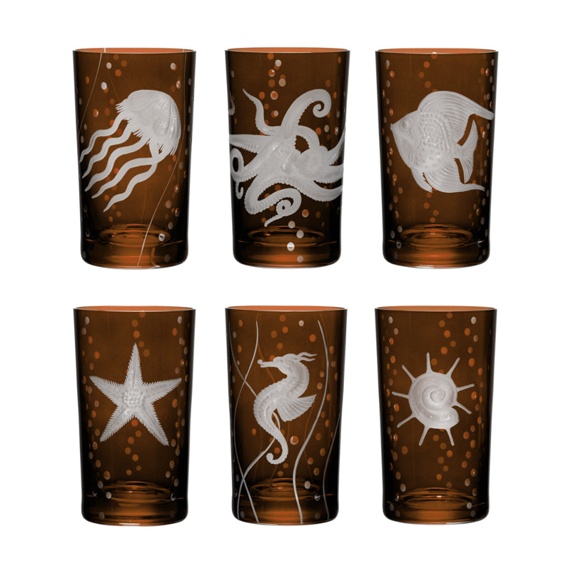 Sea Life Collection Set