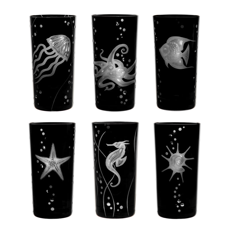 Sea Life Collection Set