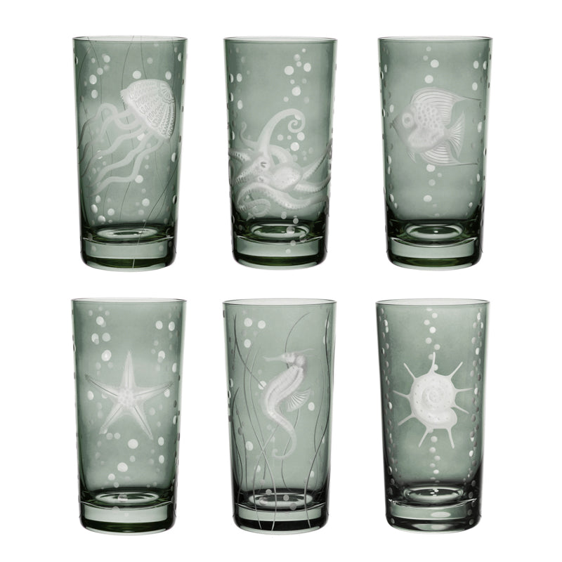 Sea Life Collection Set