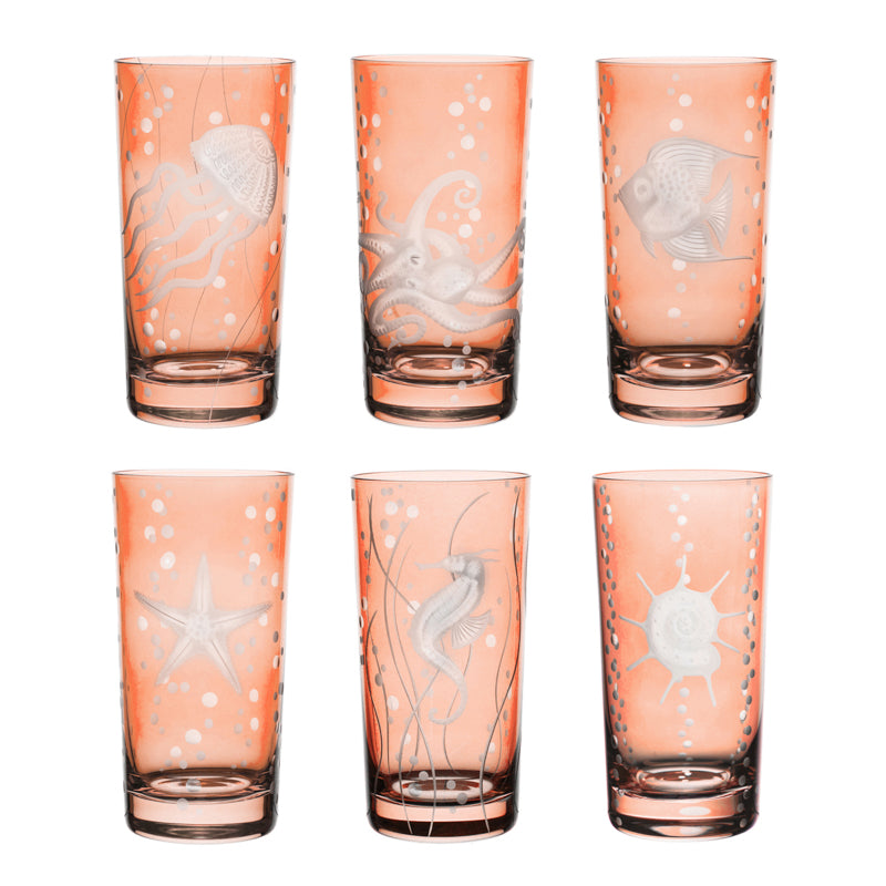 Sea Life Collection Set