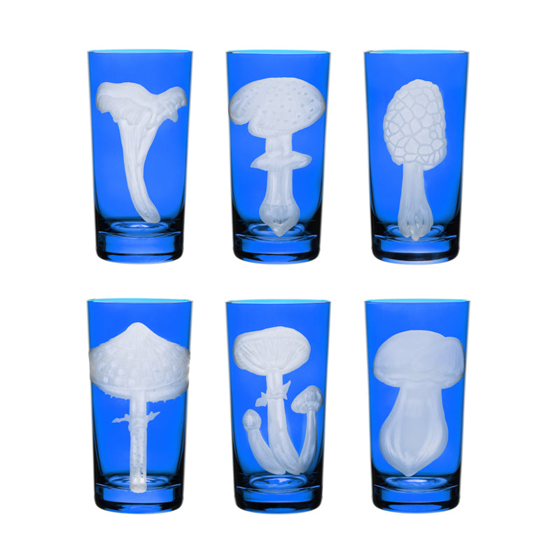 Mushrooms Collection Set