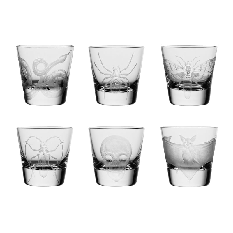 Cabinet of Curiosities Collection Set