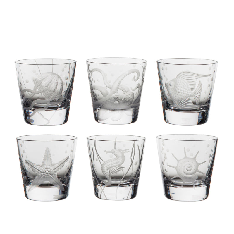 Sea Life Collection Set