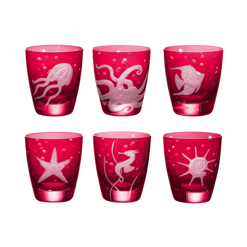 Sea Life Collection Set