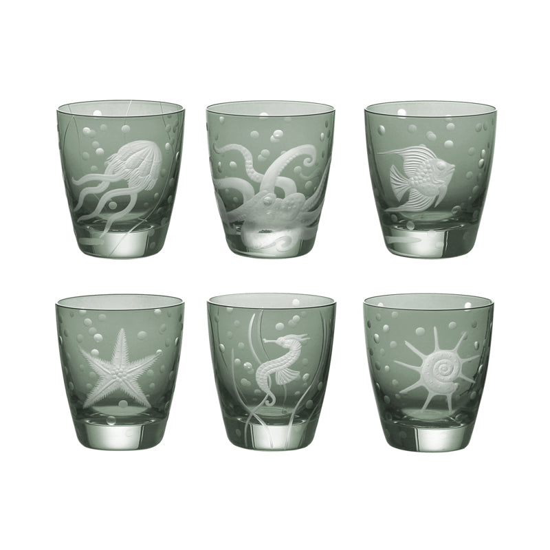 Sea Life Collection Set