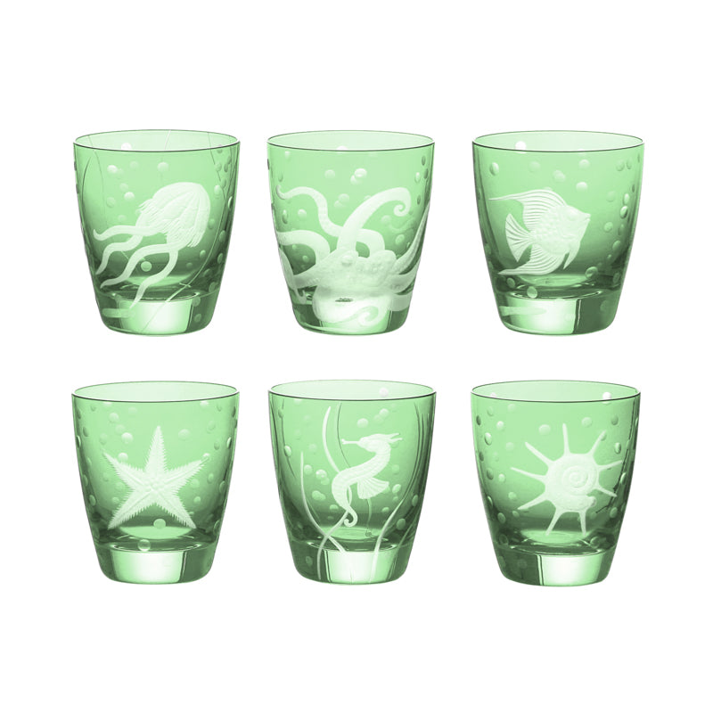 Sea Life Collection Set