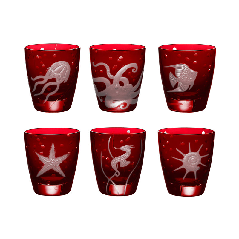 Sea Life Collection Set