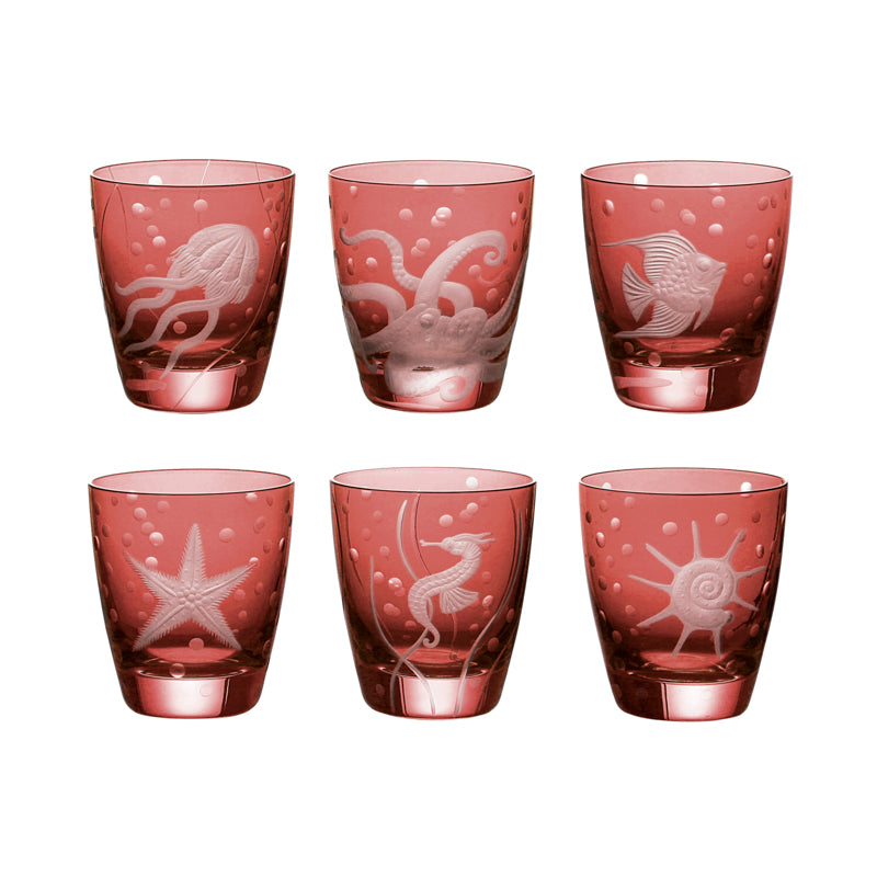 Sea Life Collection Set