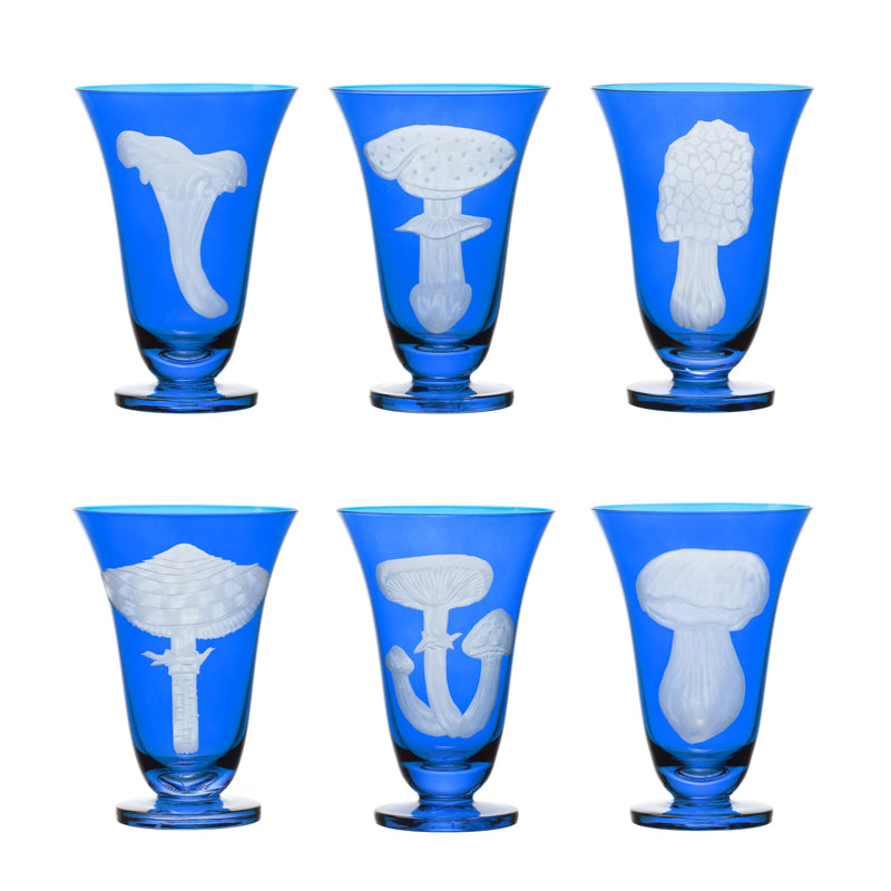 Mushrooms Fly Amanita