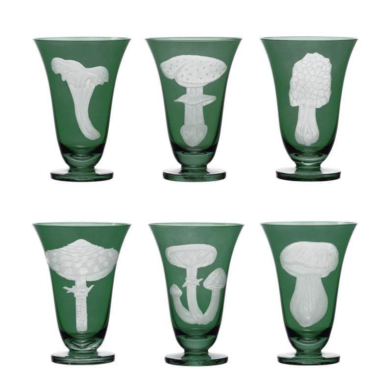 Mushrooms Fly Amanita