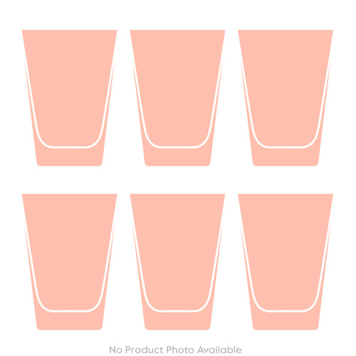 Dinosaur Collection 1 Set