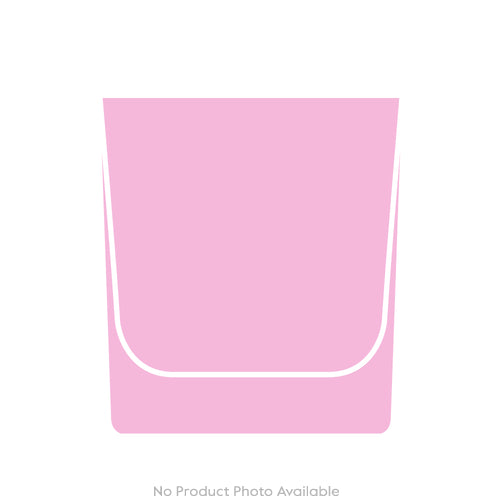 Barnyard Goose