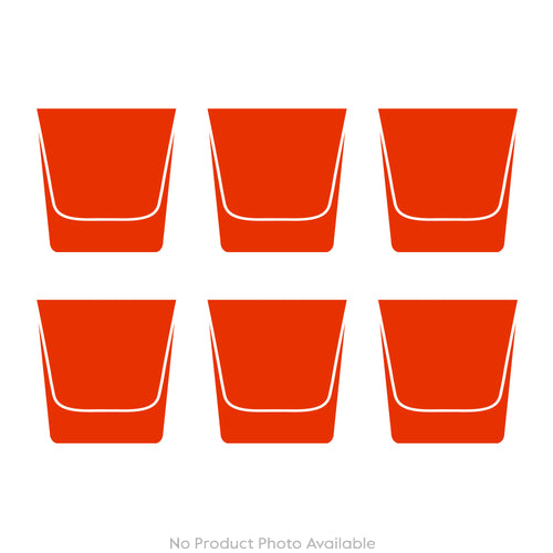 Cabinet of Curiosities Collection Set