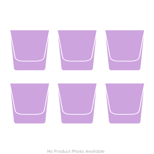 Cabinet of Curiosities Collection Set