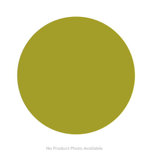 Mushrooms Fly Amanita