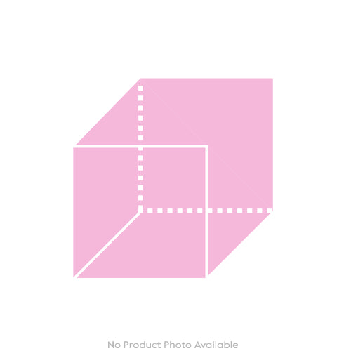 Cabinet of Curiosities Spider