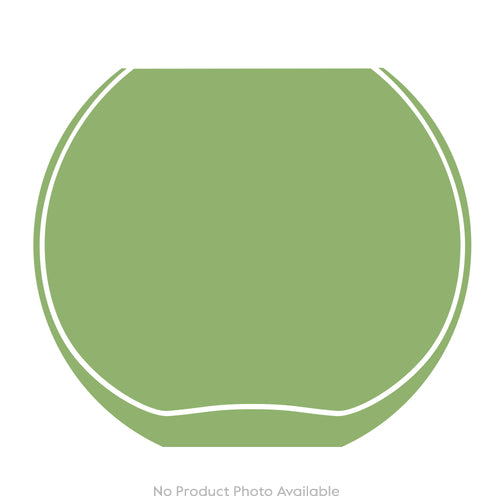 Mushrooms Fly Amanita