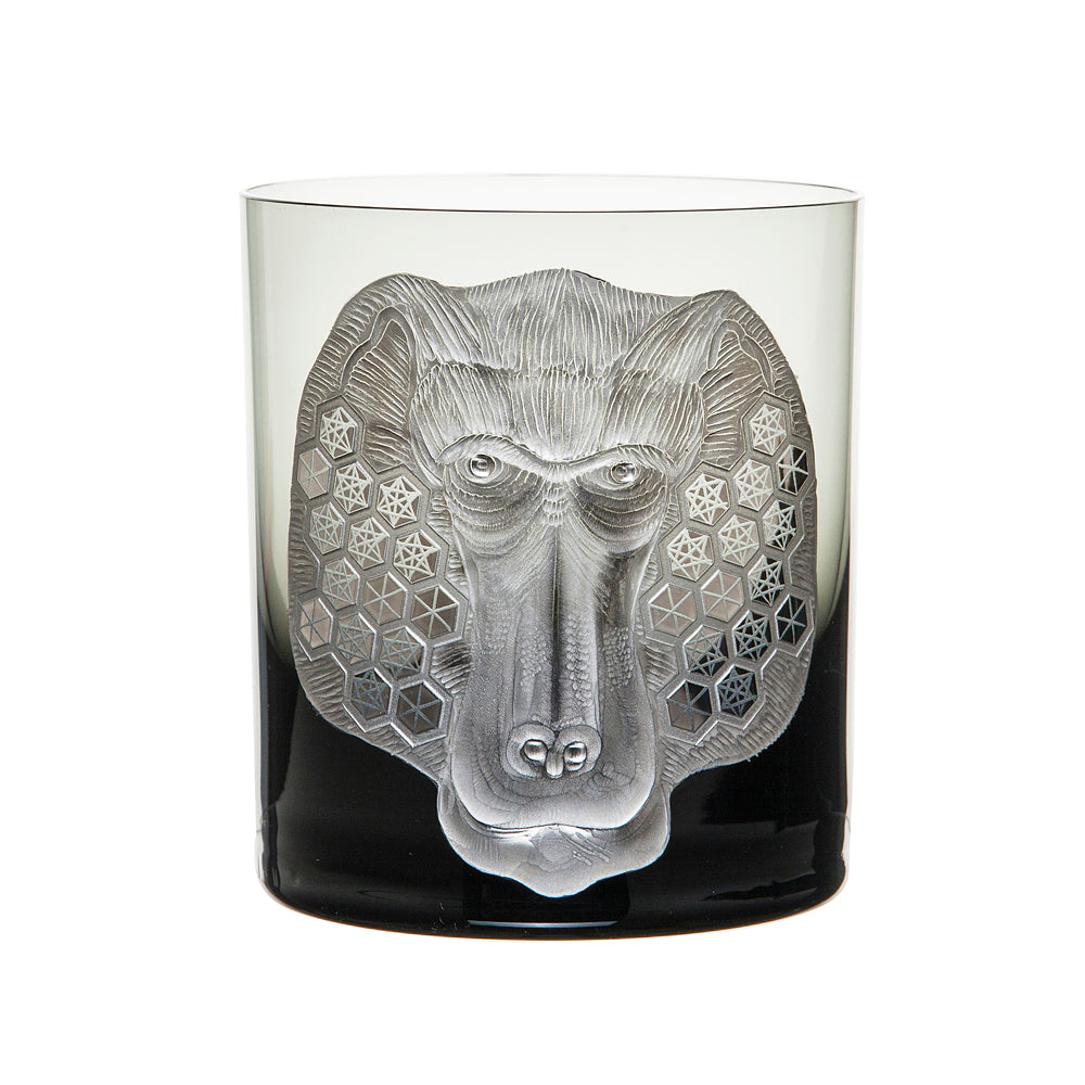 African Safari Baboon