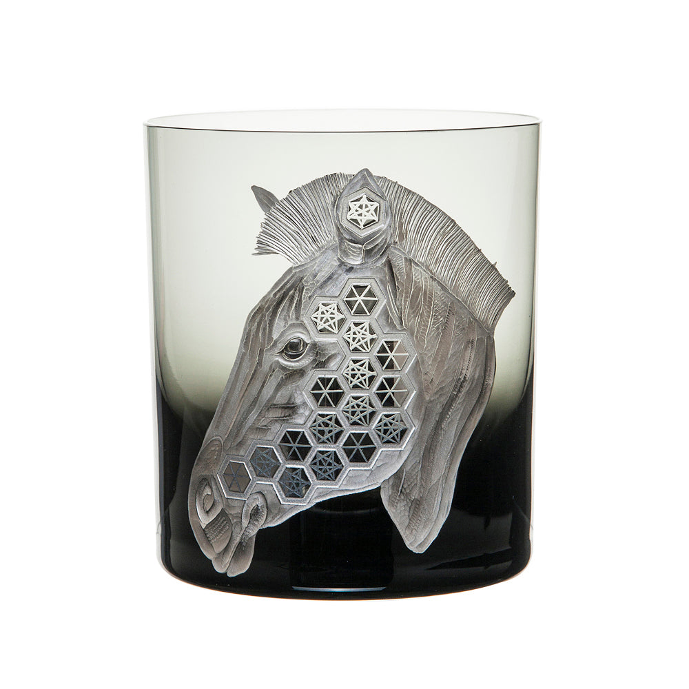 African Safari Zebra