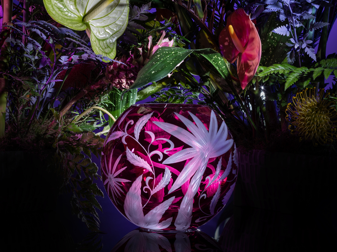 DREAMING OF THE TROPICS