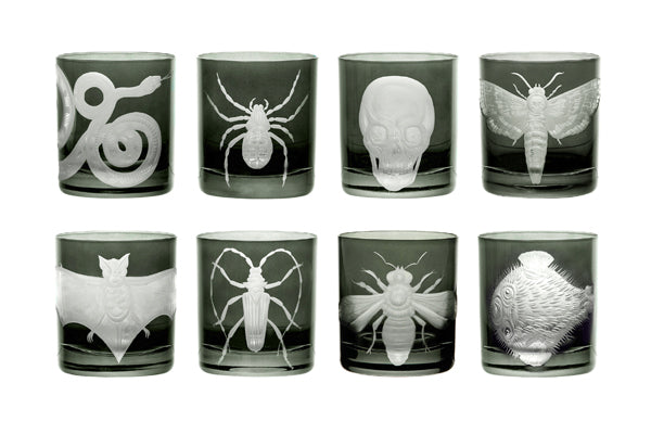 Cabinet of Curiosities Collection