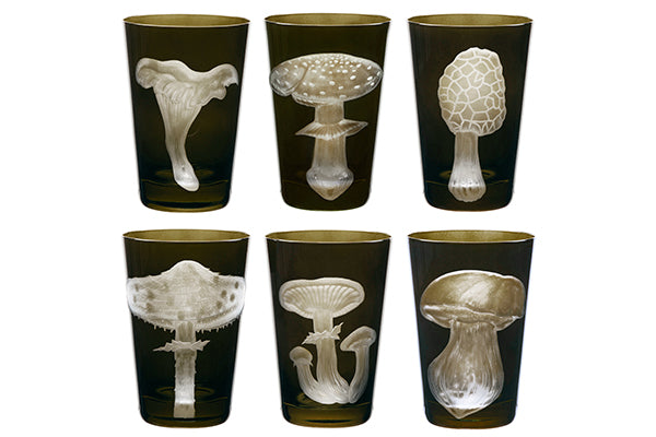 Mushrooms Collection