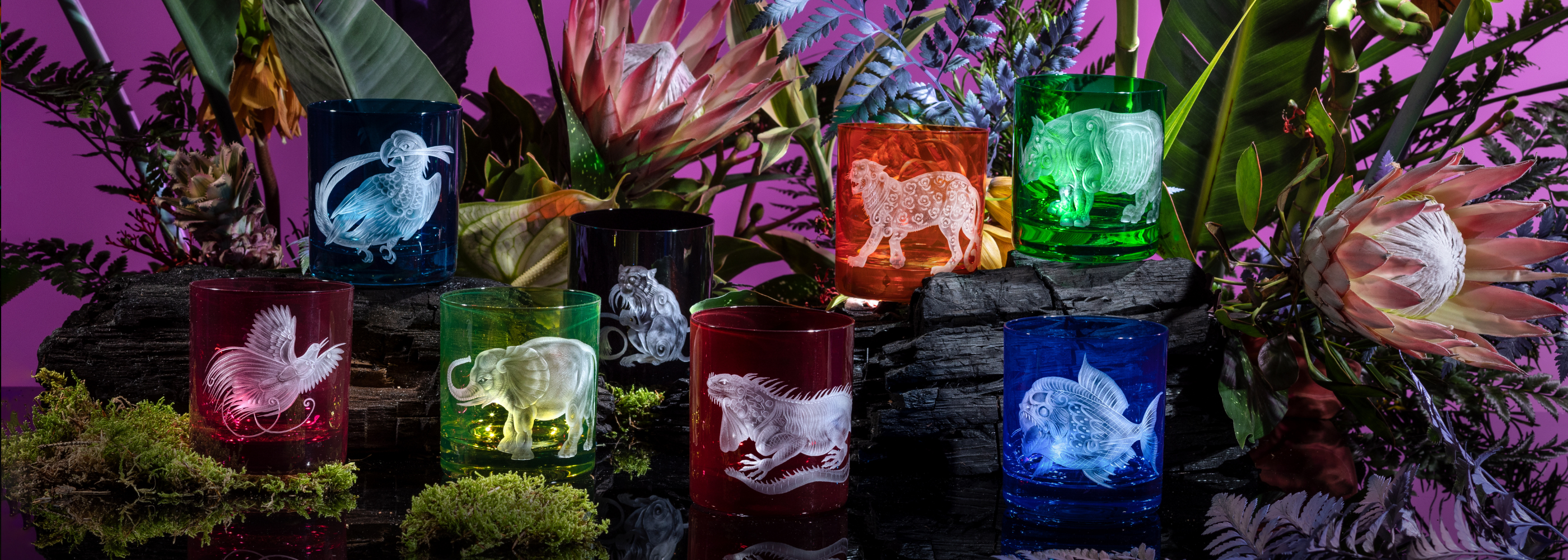 DREAMING OF THE TROPICS