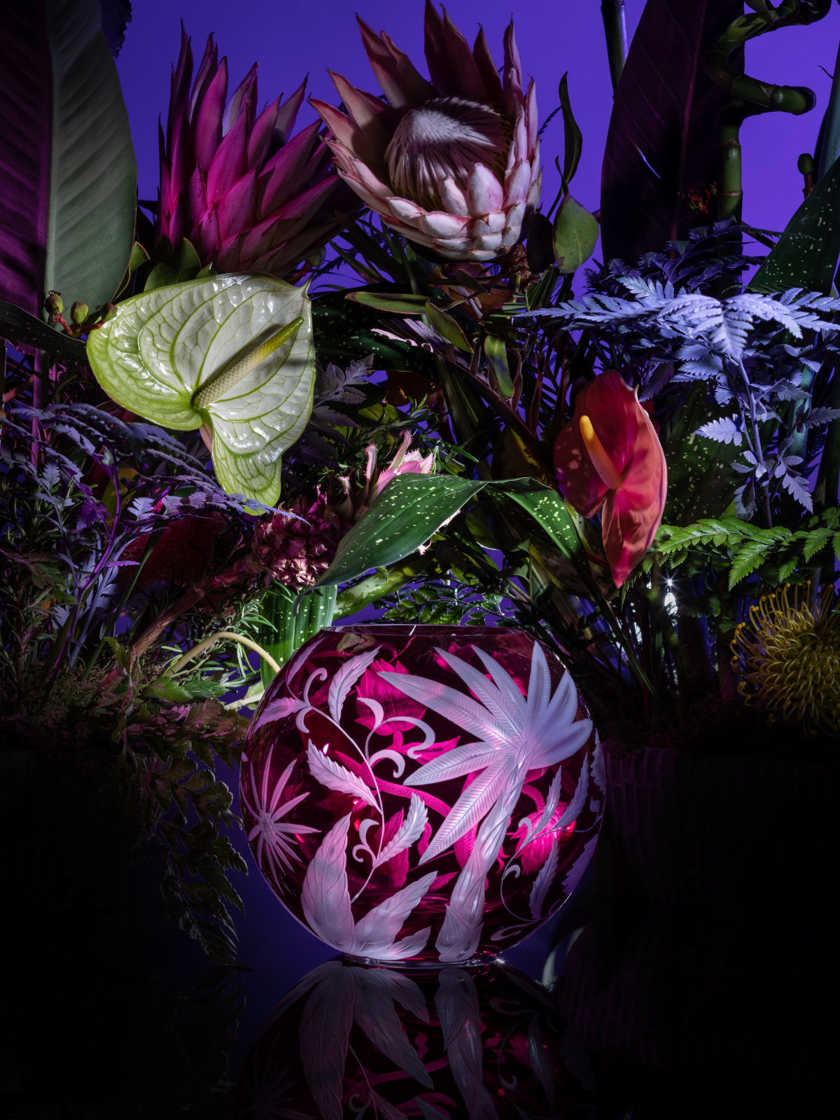 DREAMING OF THE TROPICS mobile